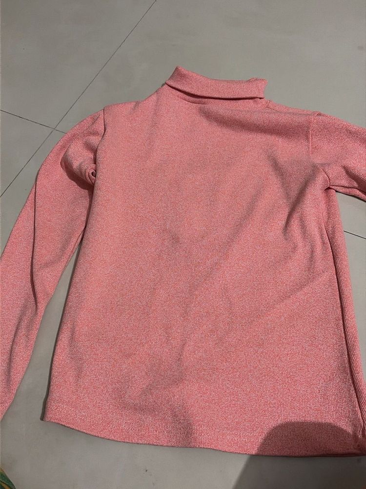 turtle high neck top