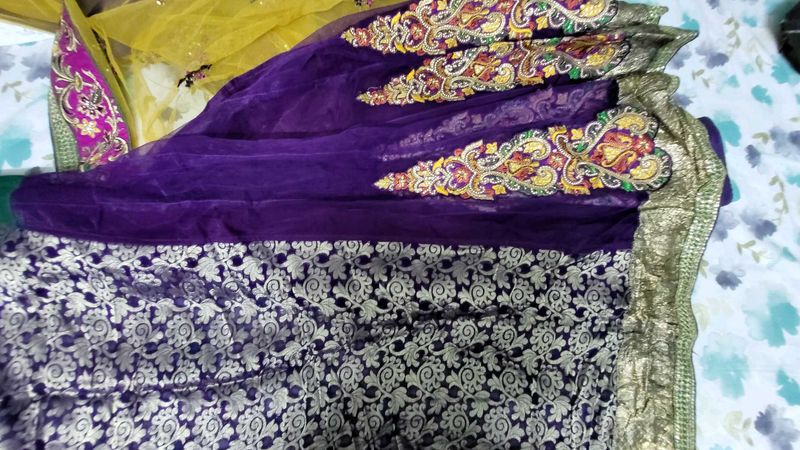 Lengha Saree With 2 Blouse