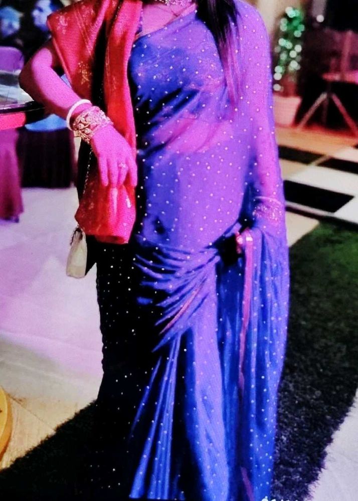 Elegant Blue Saree 2
