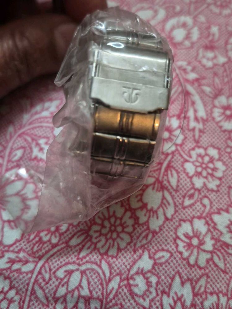 Titan Watch strap steel