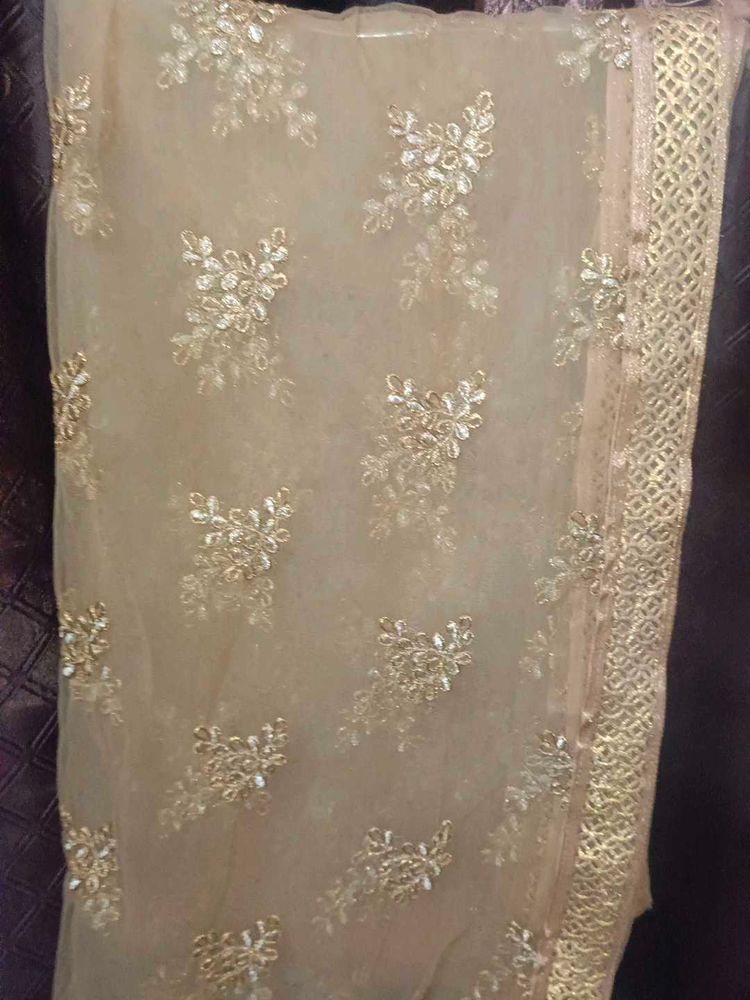 Stylish  Net Dupatta