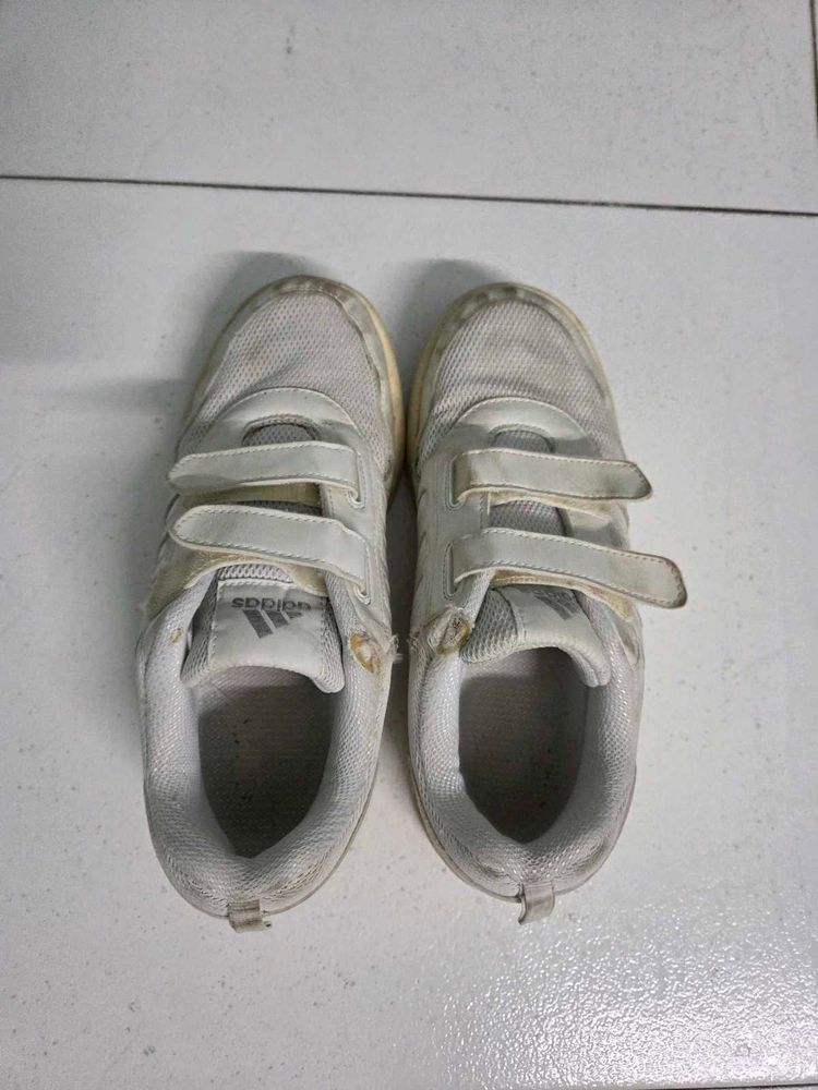 Adidas Velcro white Shoes