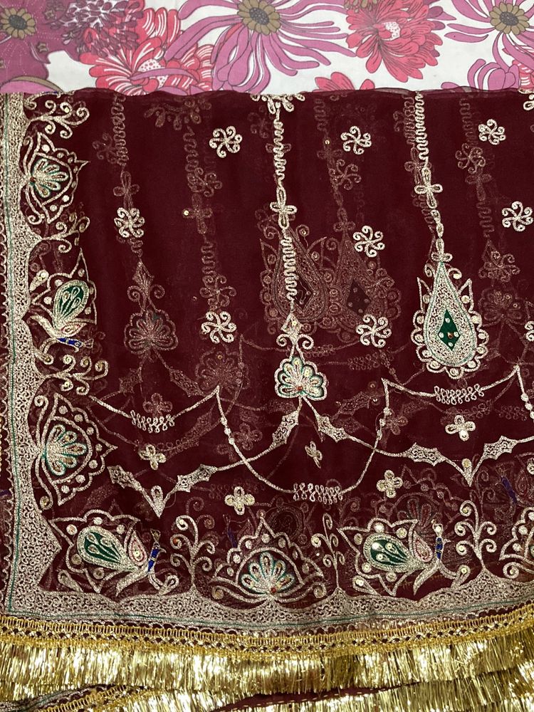 Exquisite Embellished Dupatta Scarf