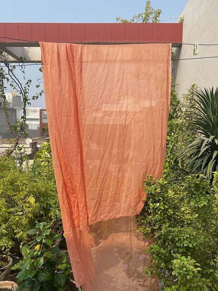 Sheer Peach Dupatta