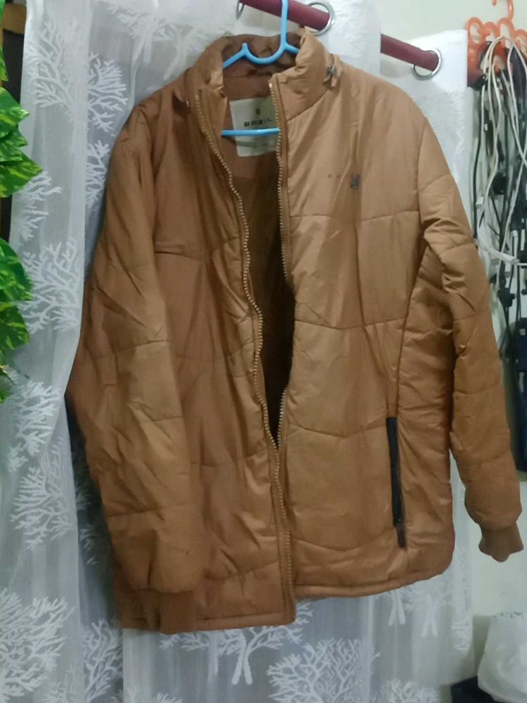 Winter Jacket