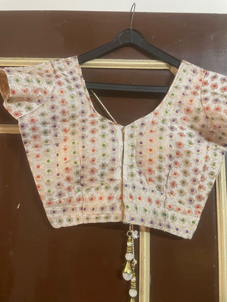 Floral Embroidered Saree Blouse