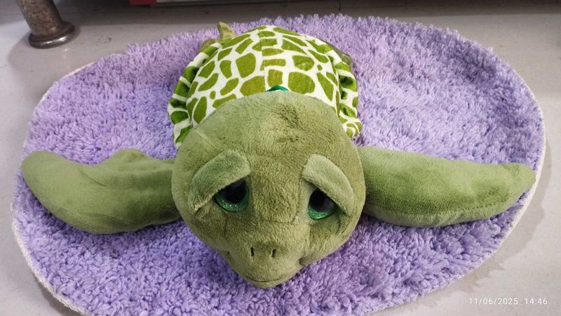 Adorable Plush Turtle