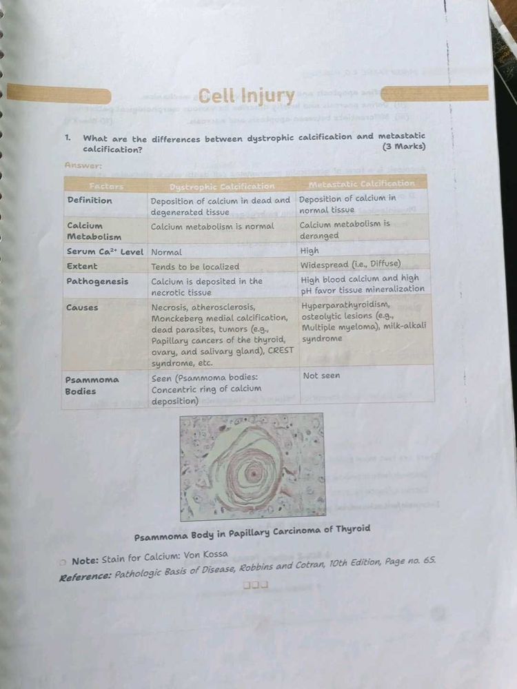 spiral binding notes FARRE 2.0 2 ND PROFF