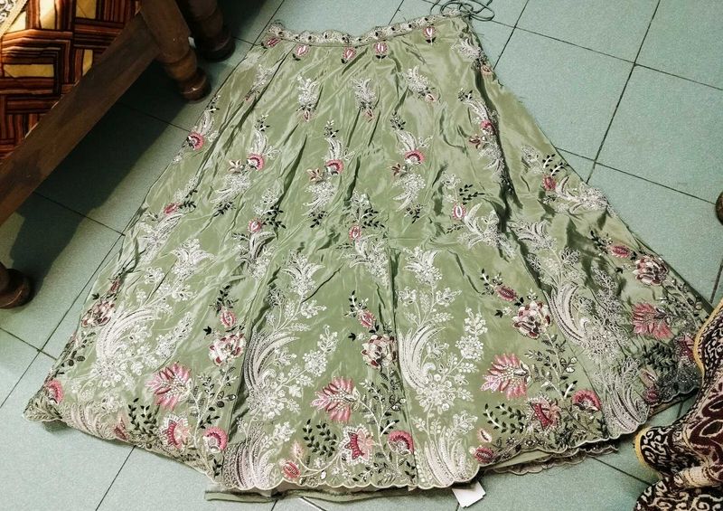 Elegant Embroidered Lehenga