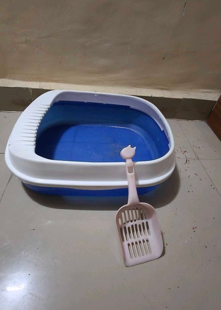 Blue Plastic Cat Litter Box