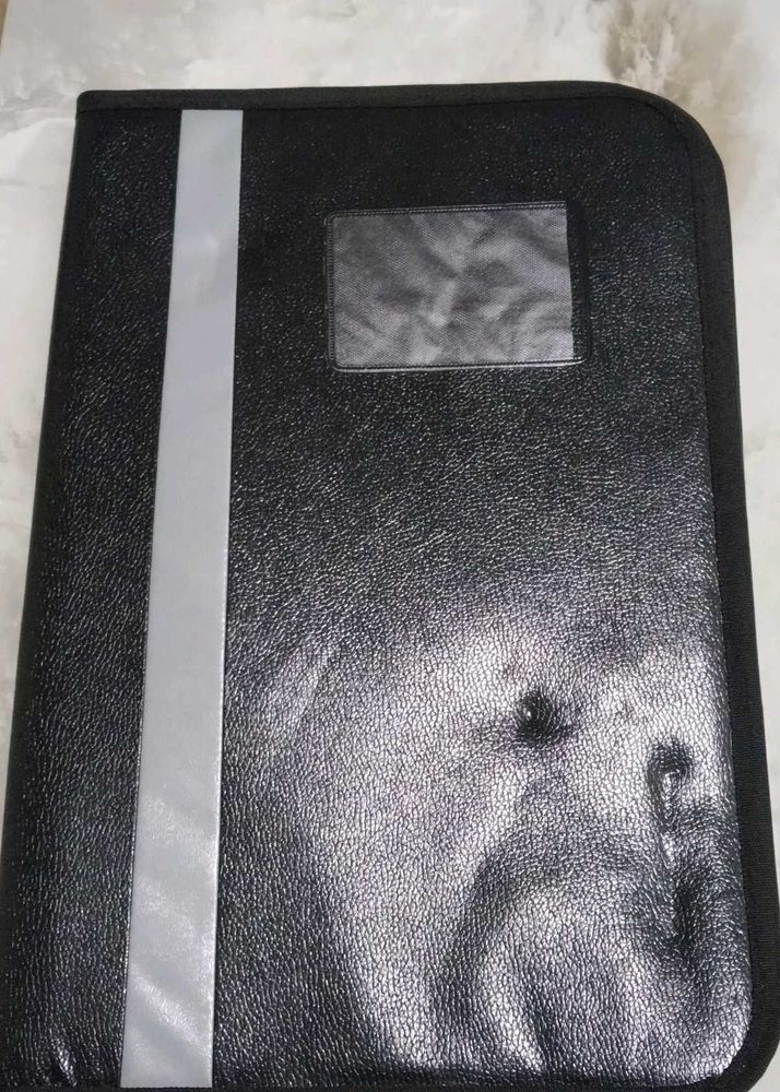 Professional Black Document Folder