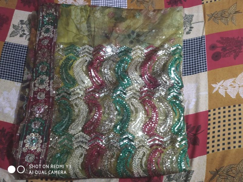 Net Saree Beautiful Multicolor