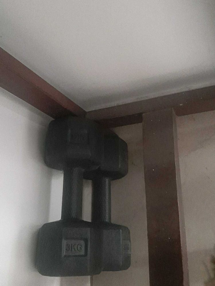 4KG Dumbbells Set