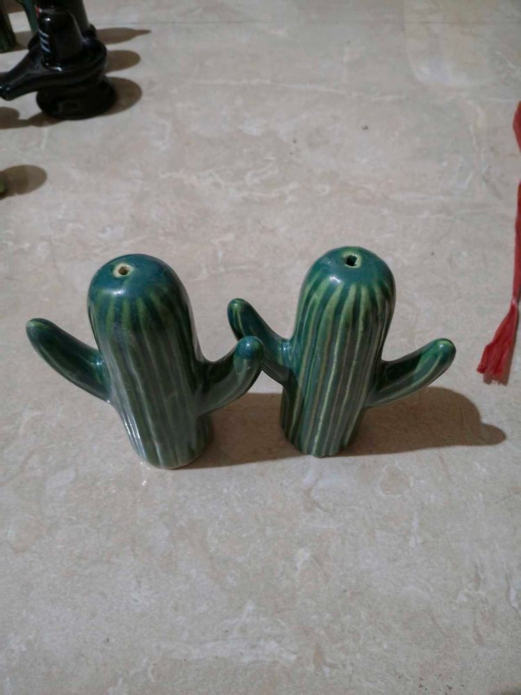 Cactus Salt &amp; Pepper Shakers or agrbatti stand