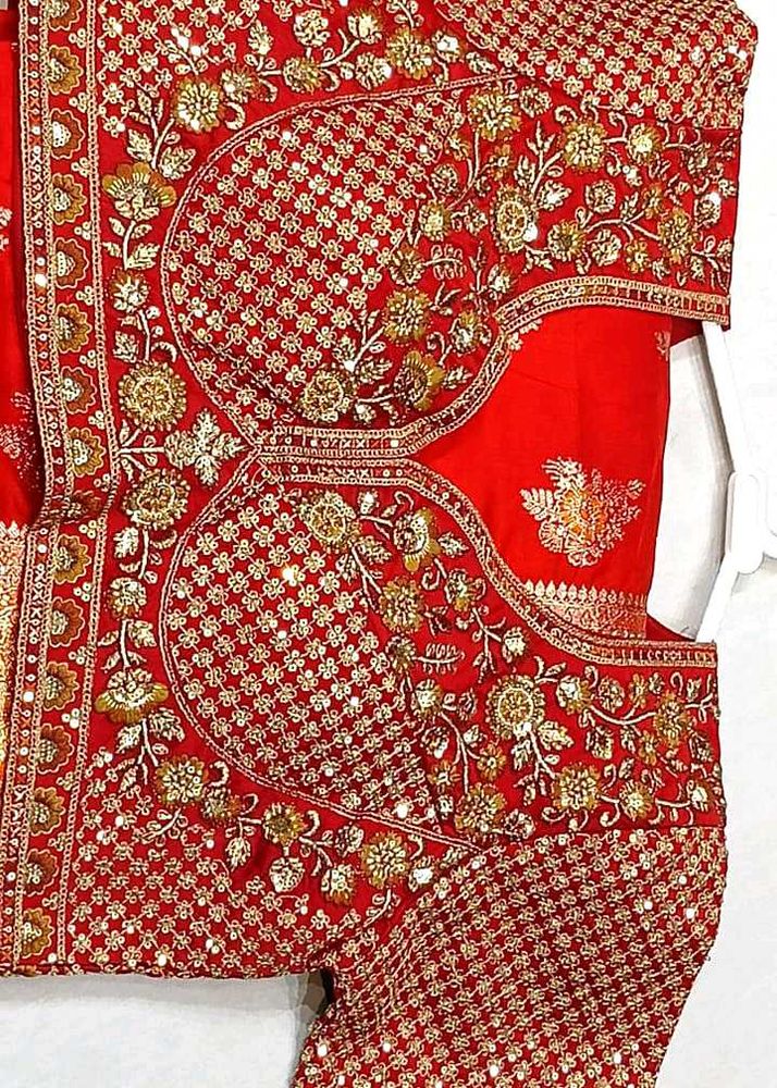 Embroidered Red sare with blouse