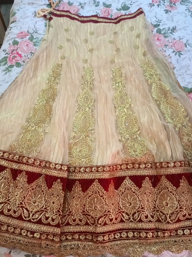 Party/Wedding Wear Lehenga