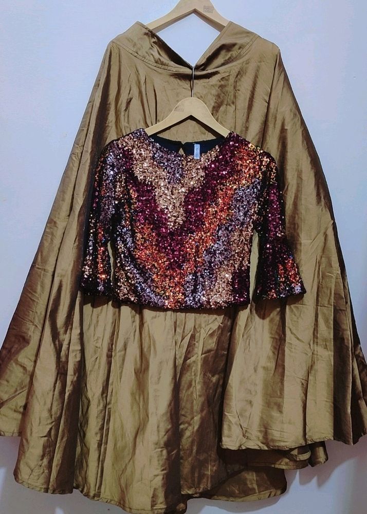 Beautiful Shimmer Party Wear Skirt- Top