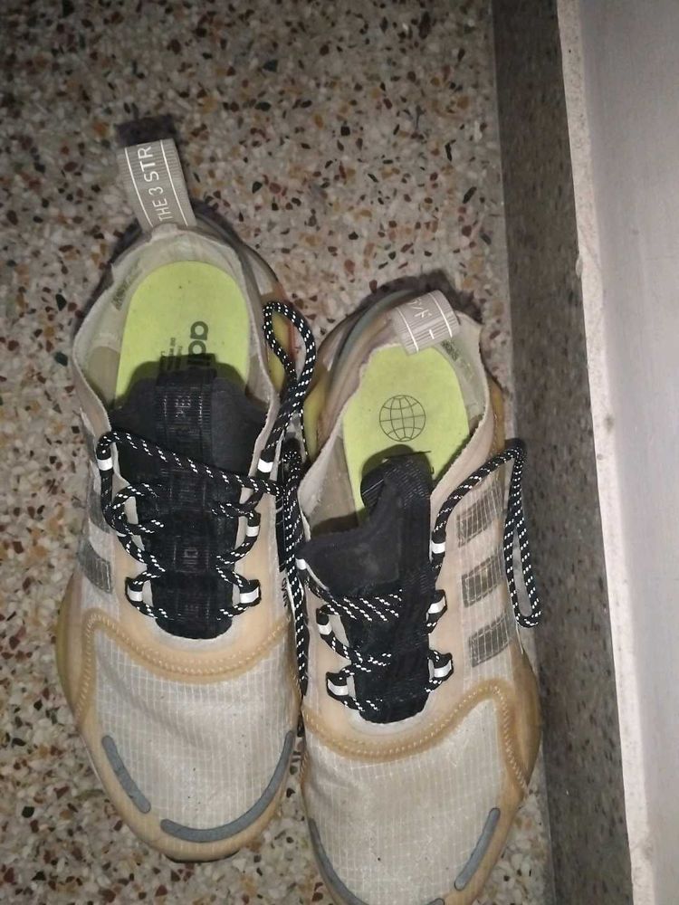 Adidas Sneakers