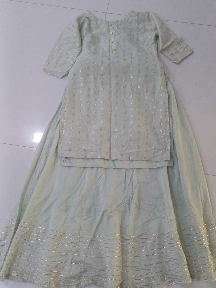 Elegant Pastel Lehenga Choli Set