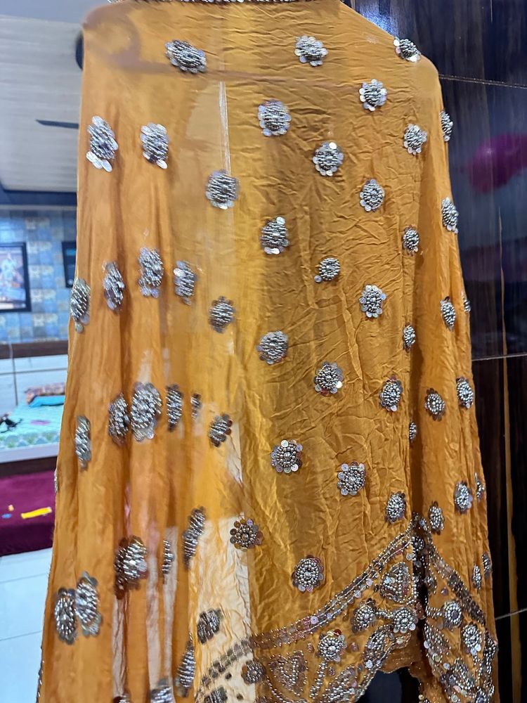 Embellished Dupatta