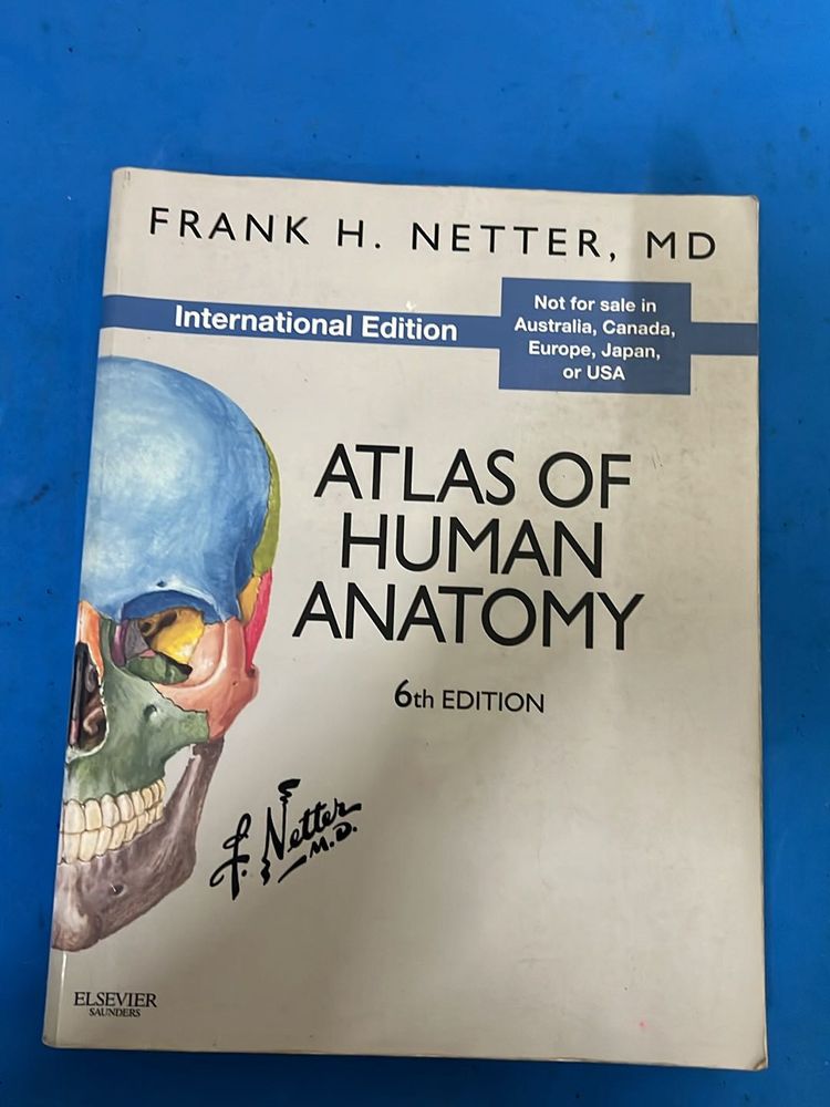Books > Textbooks | Atlas Of Human Anatomy- Netter | Freeup
