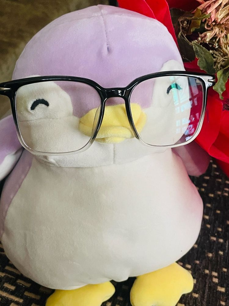 Stylish Black &amp; Clear Frame Glasses