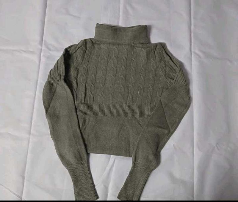 Turtle Neck Woolen Top
