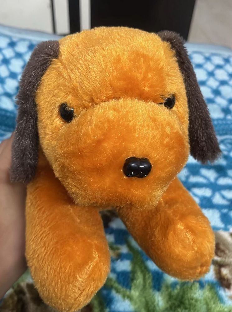 cute dog 🐶