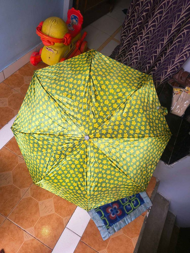 umbrella beautiful green color