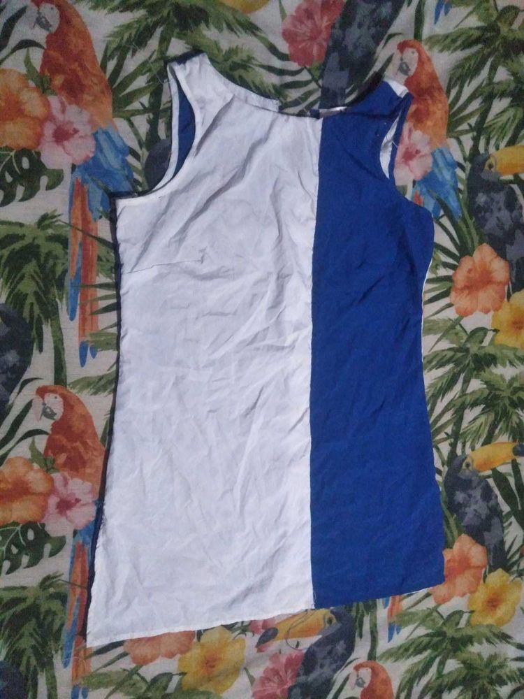 Color Block Sleeveless Mini Dress