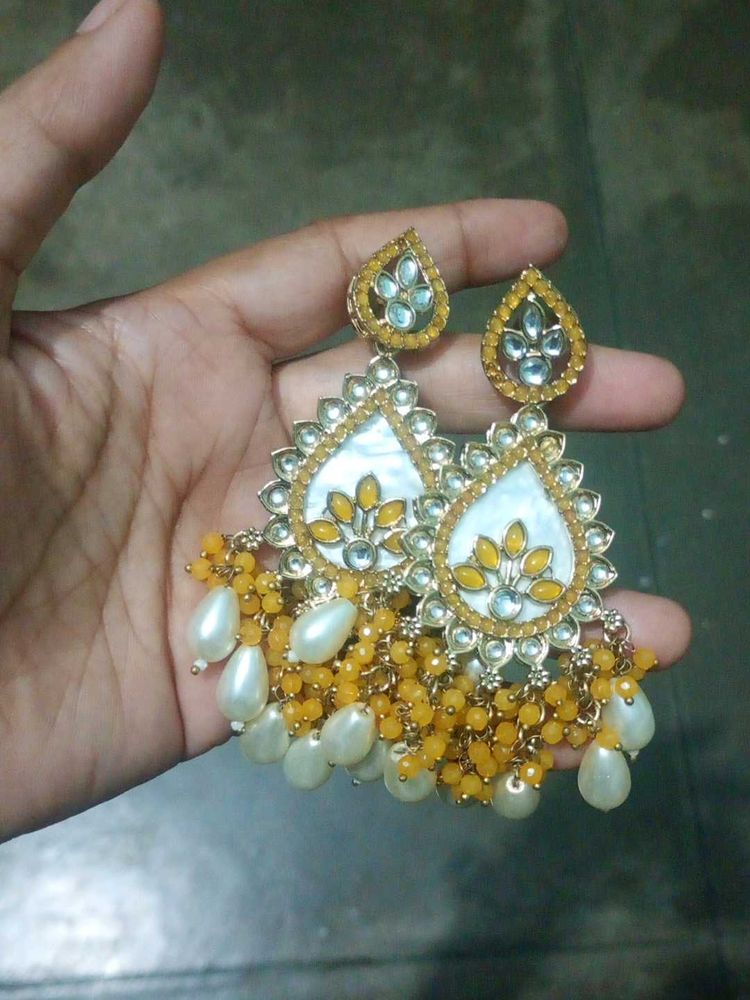Exquisite Ethnic Dangle Earrings