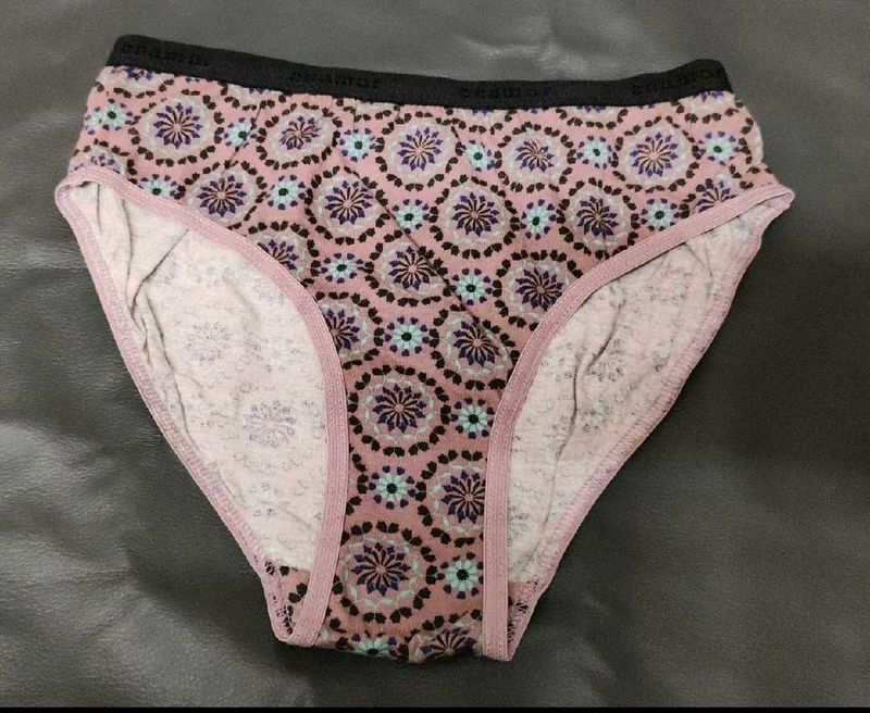 Enamor cotton briefs for women