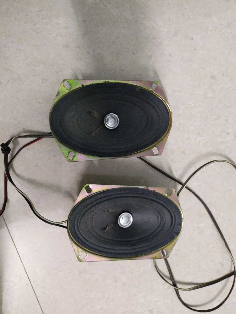 Pair of Oval Speakers