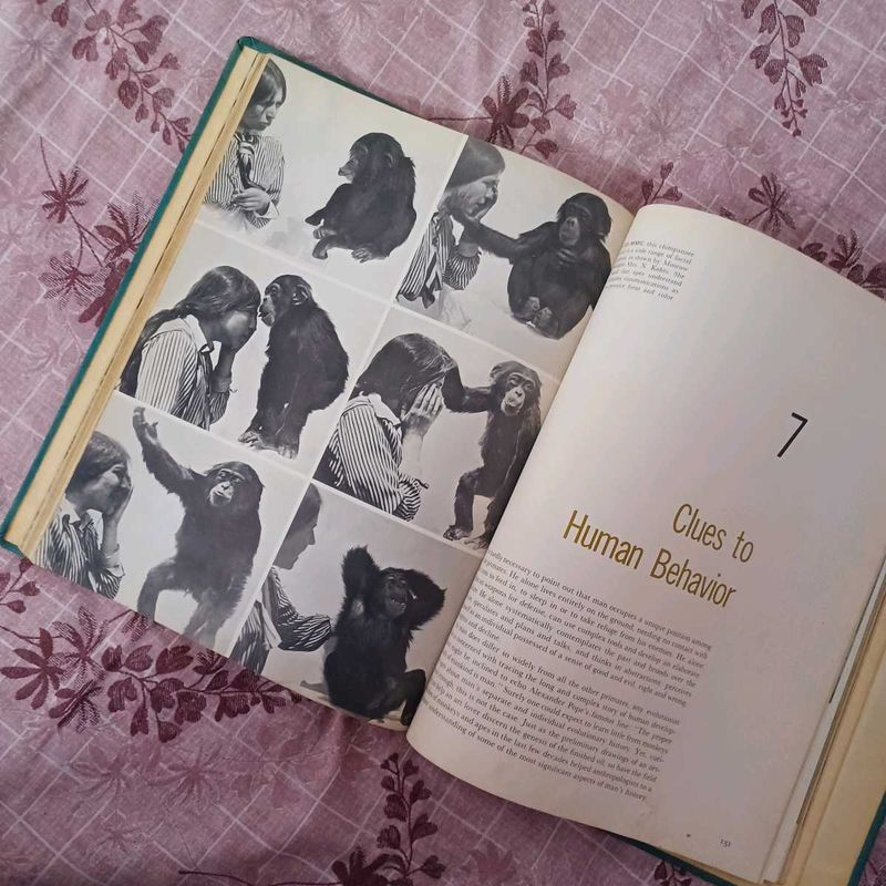 Imported encyclopedia: The primates