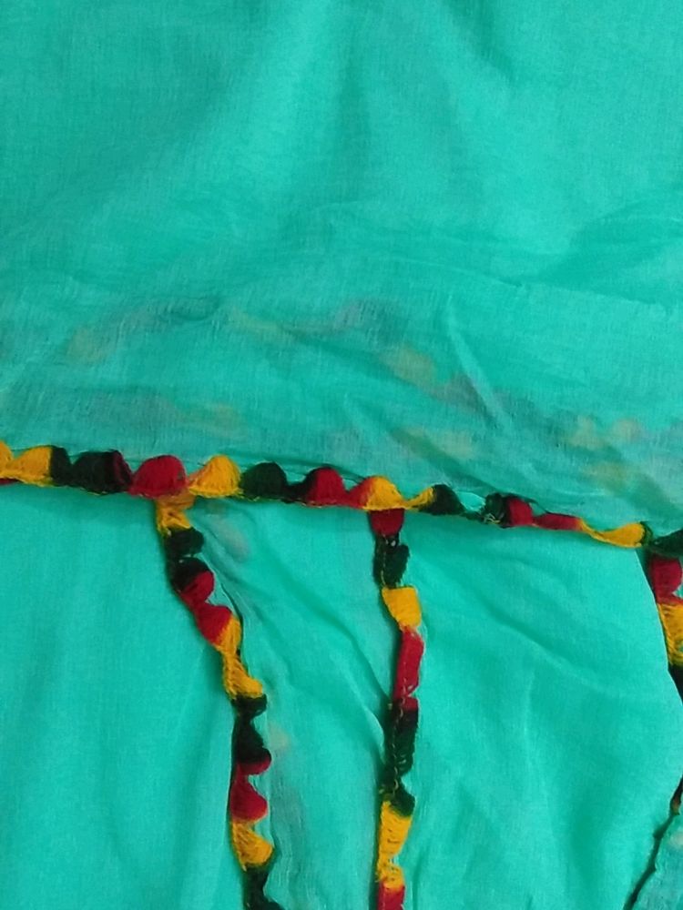 See Green Long Dupatta With Border Woolen Strip