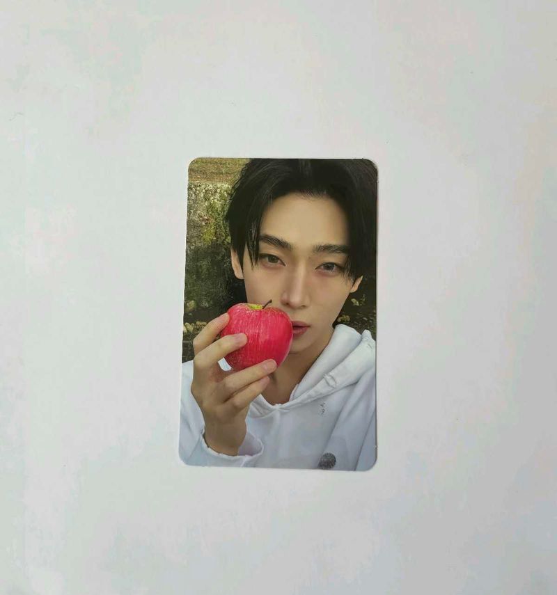 Official Fugitive ver. Sunoo photocard