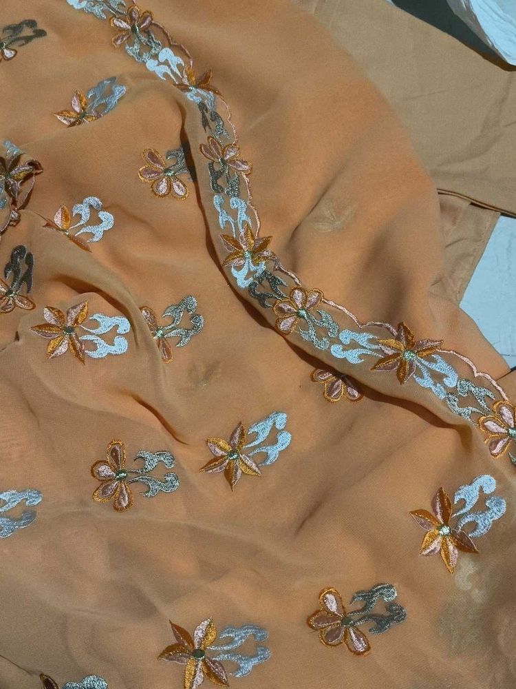 Embroidered Peach Saree blouse petticoat