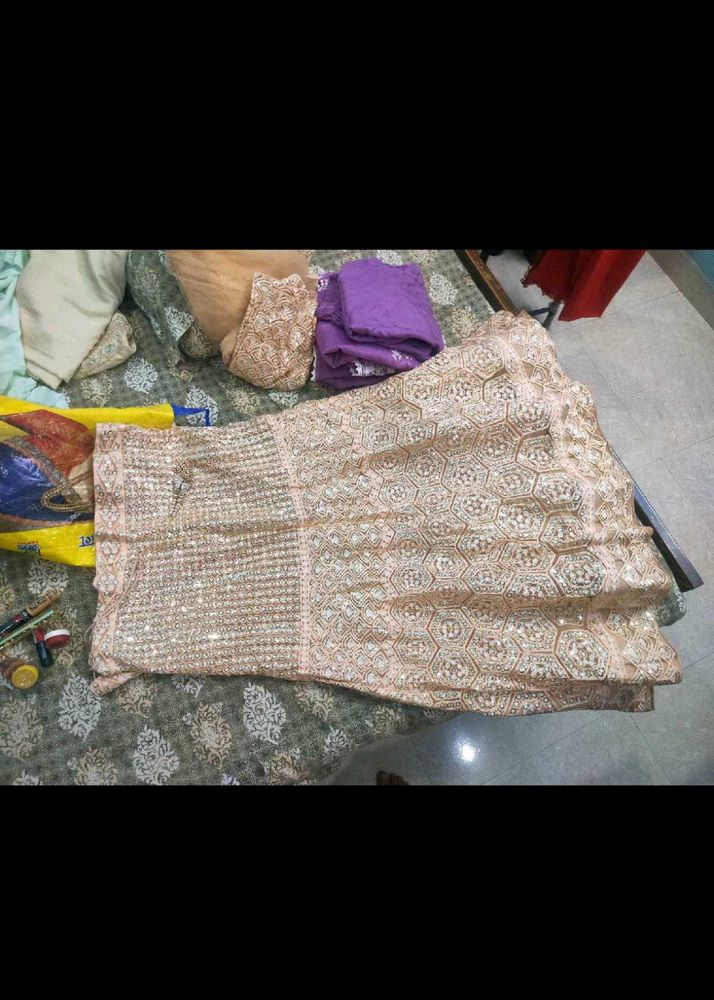Elegant Embellished Lehenga