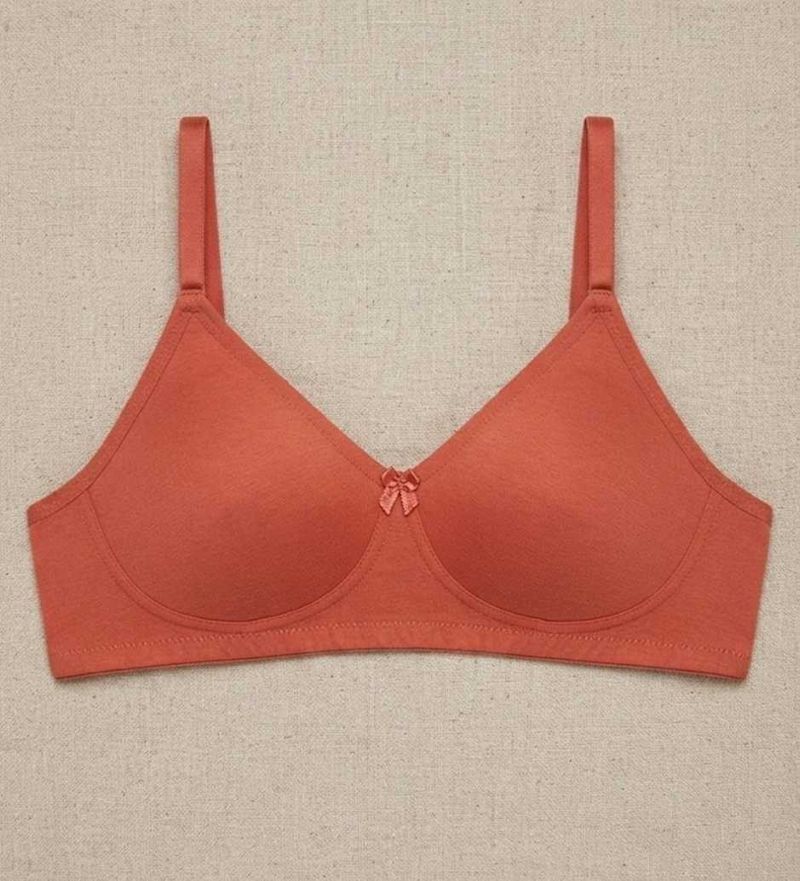 Comfortable Everyday Coral Bra