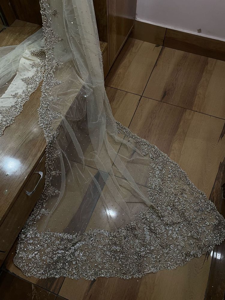Embellished net saree