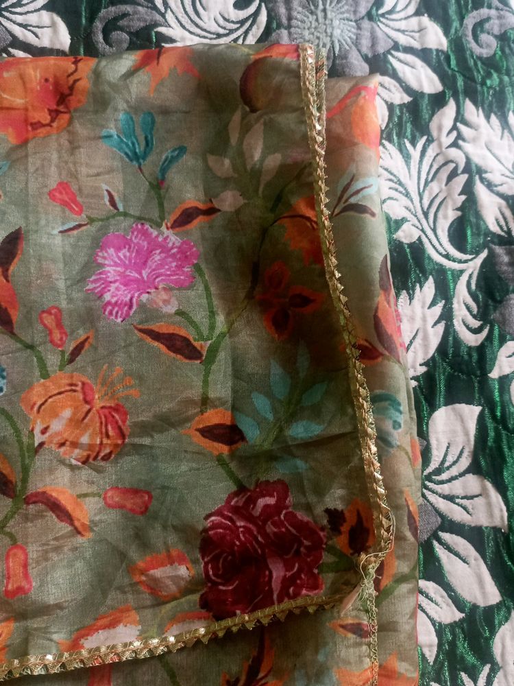 Beautiful Organza Dupatta
