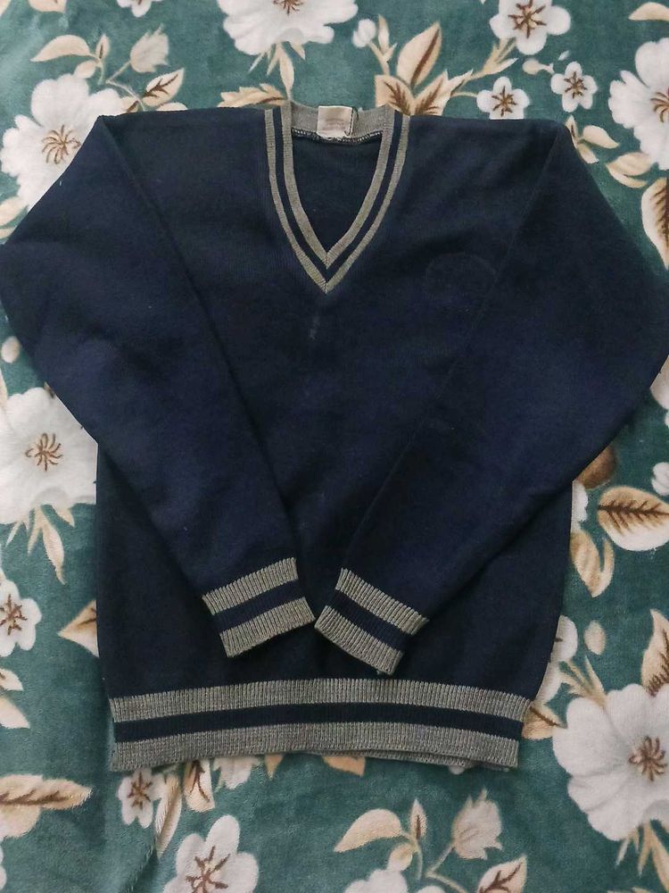 💯SALE V-Neck Sweater