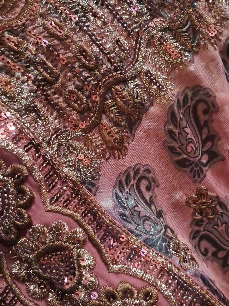 onion colour tissue chamki work saree
