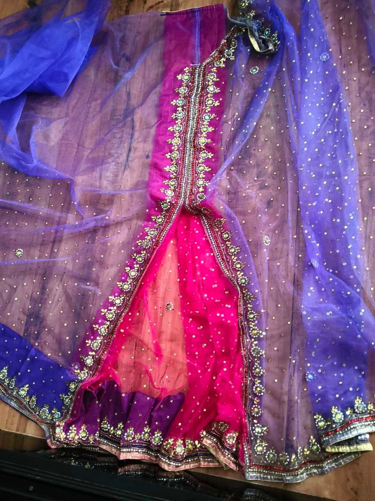 Stunning handwork Net lehanga Saree