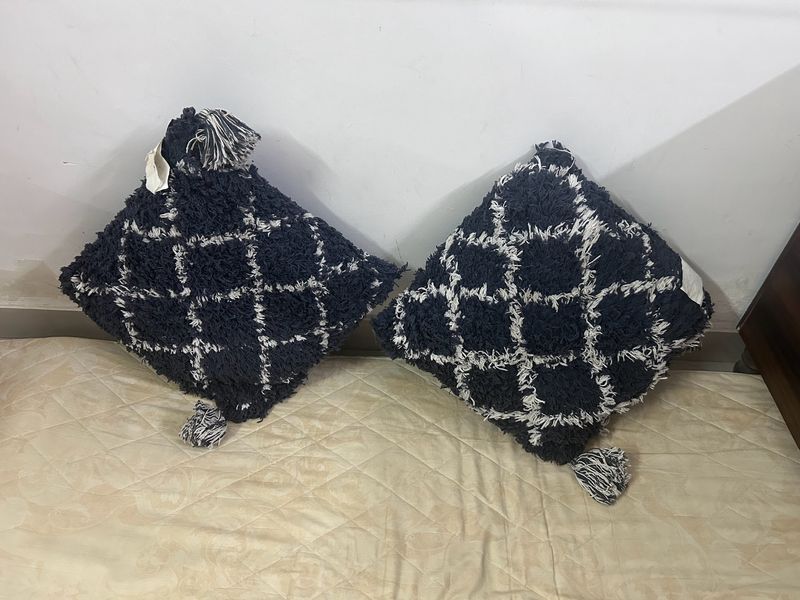 2 Big Cushions
