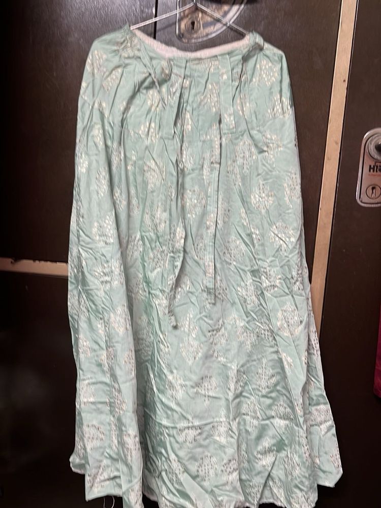 Beautiful Mint Green Ethnic Skirt