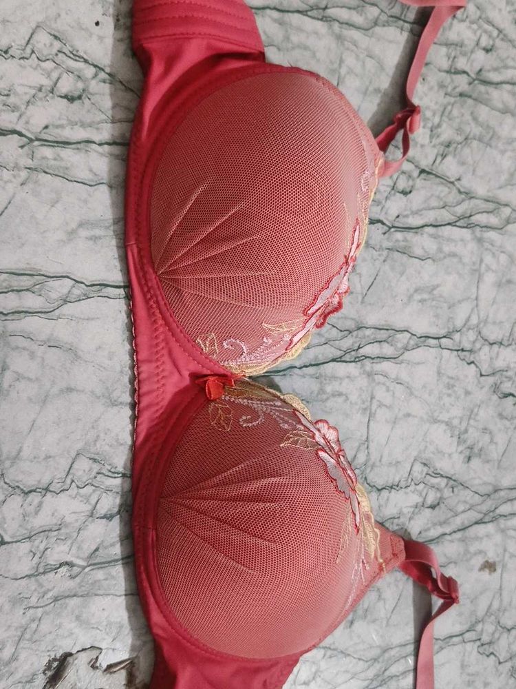 dubble padded phusup bra