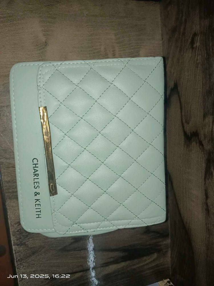 Charles &amp; Keith Quilted Crossbody Bag