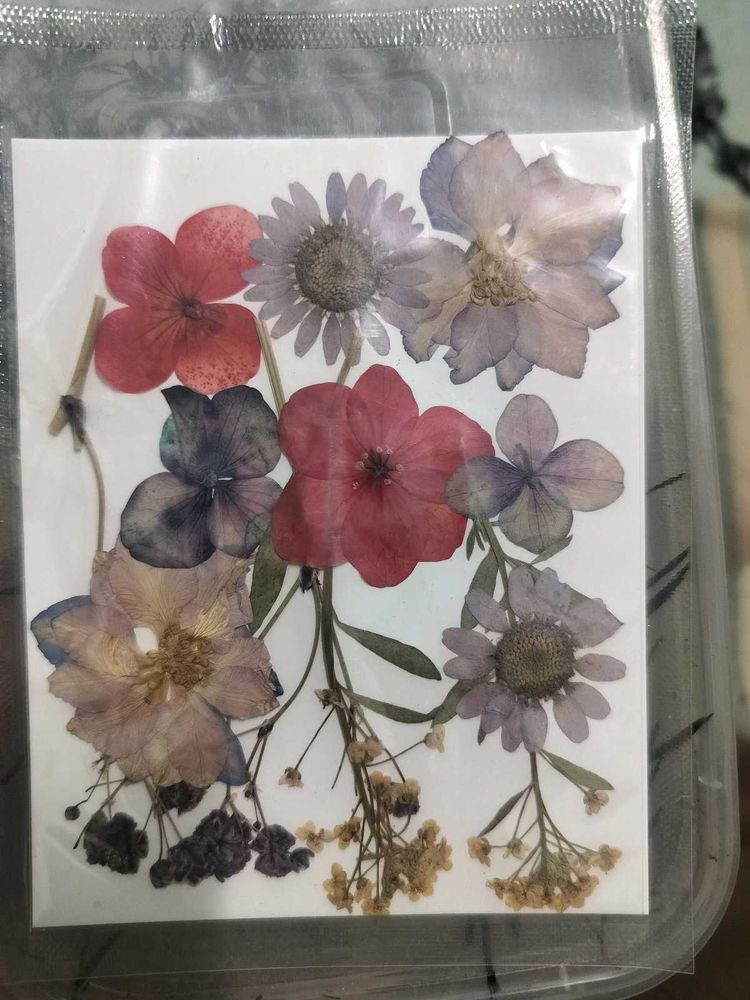 Dried Flower Crafting Elements