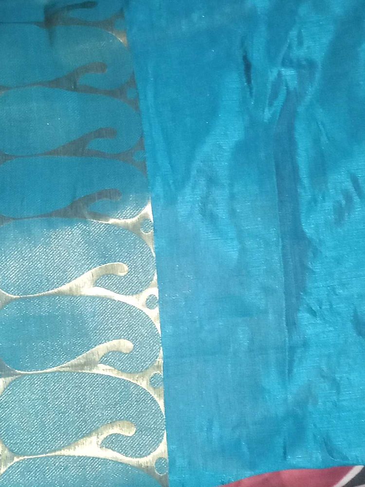 Turquoise Saree with Paisley Border